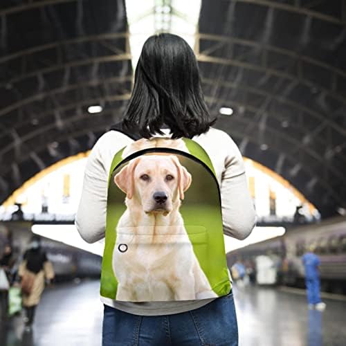 תרמיל VBFFOFBV לנשים לנשים תיק נייד תיקי נסיעה לטיולים, כלב בעלי חיים לברדור