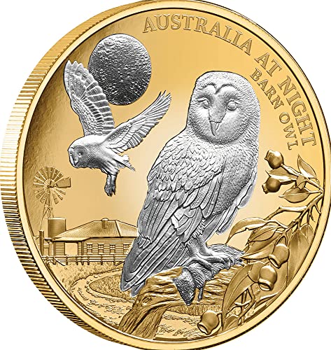 2022 דה אוסטרליה בלילה Powercoin Barn Owl 1 גרם מטבע זהב 100 $ niue 2022 1 גרם הוכחה